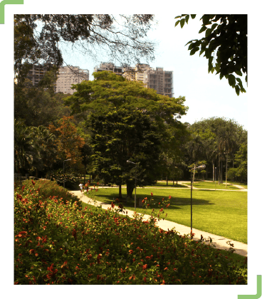 foto-parque